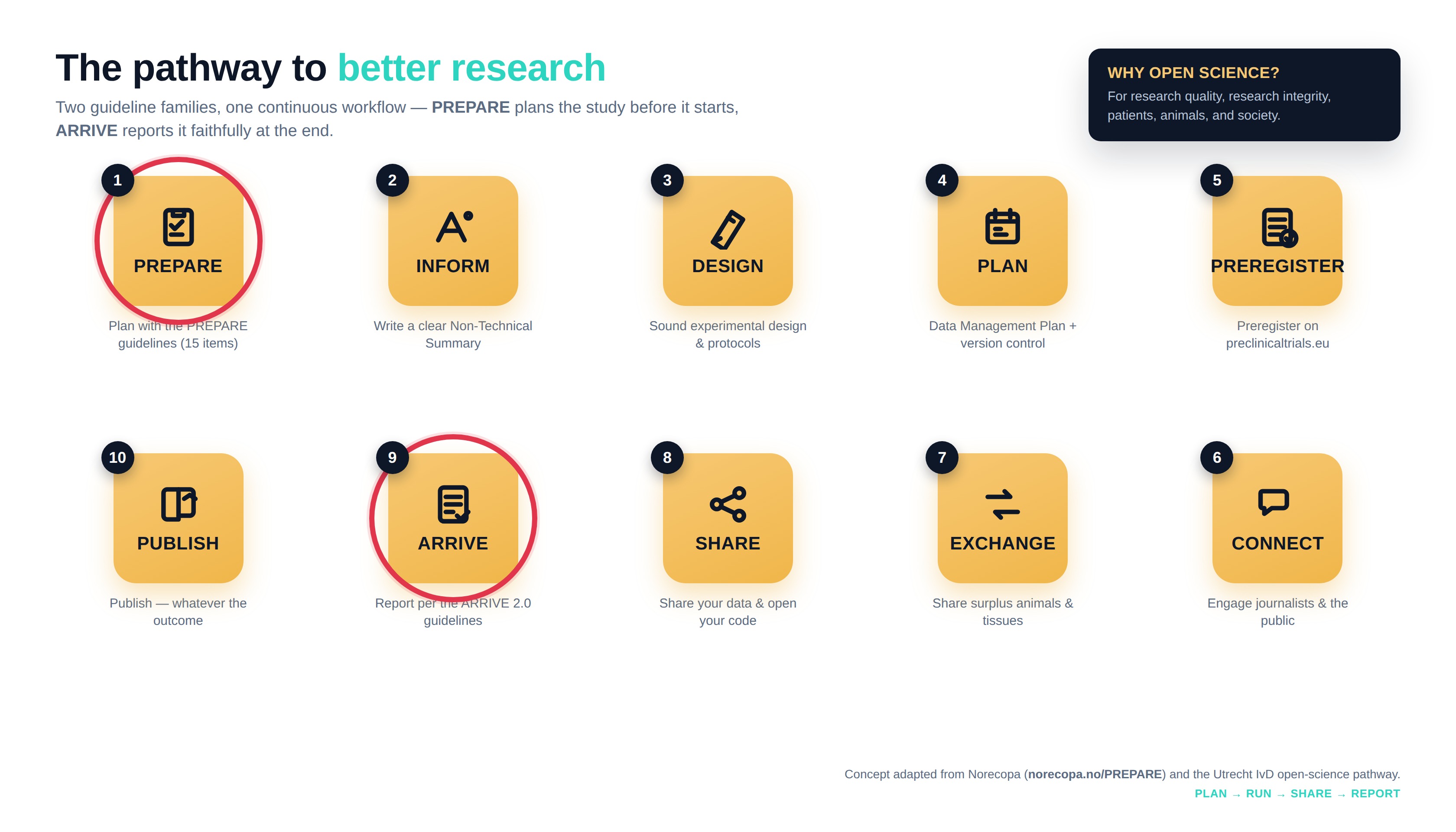 The pathway to better research: ten open-science steps from PREPARE (plan) through INFORM, DESIGN, PLAN, PREREGISTER, CONNECT, EXCHANGE, SHARE to ARRIVE (report) and PUBLISH, with PREPARE and ARRIVE circled at each end.